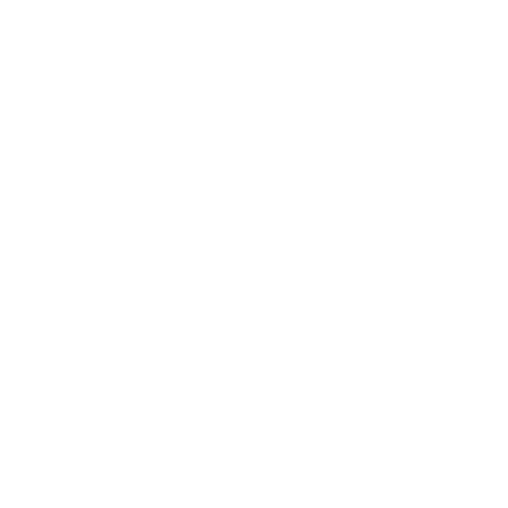 Dolfi logo