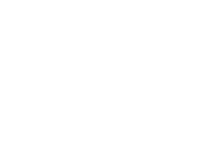 Inestasy logo