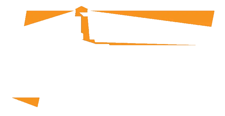 MadMax logo