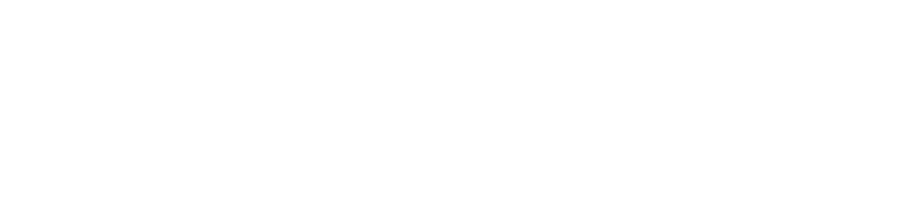 Piadi logo