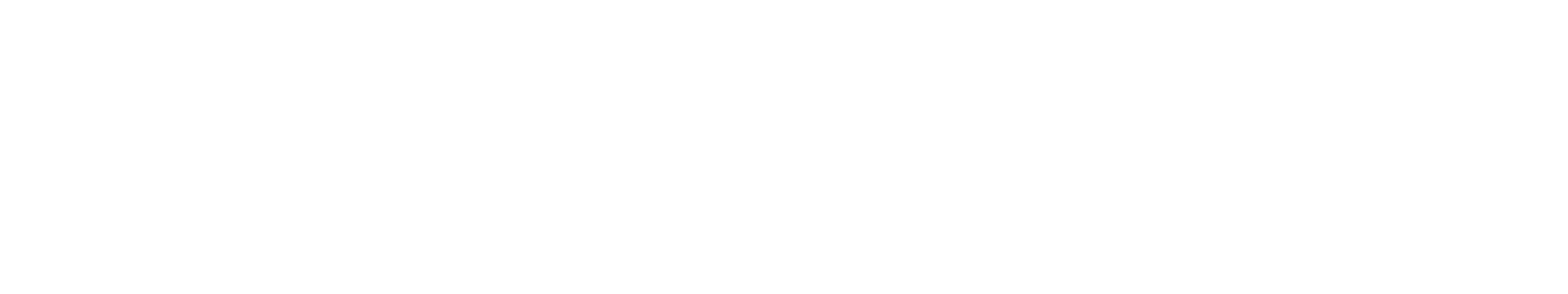 SoloAffitti logo