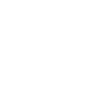 V-Si logo