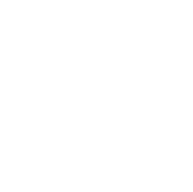 V-Si