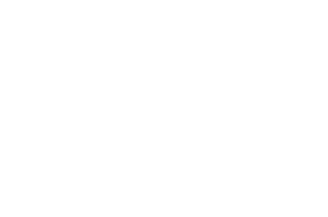 Venidom logo